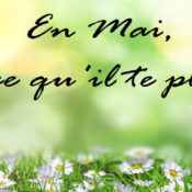 Recommandations de mai : on fait ce qu’il nous plait !